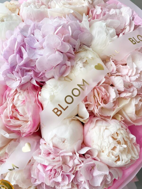Melody of love 2