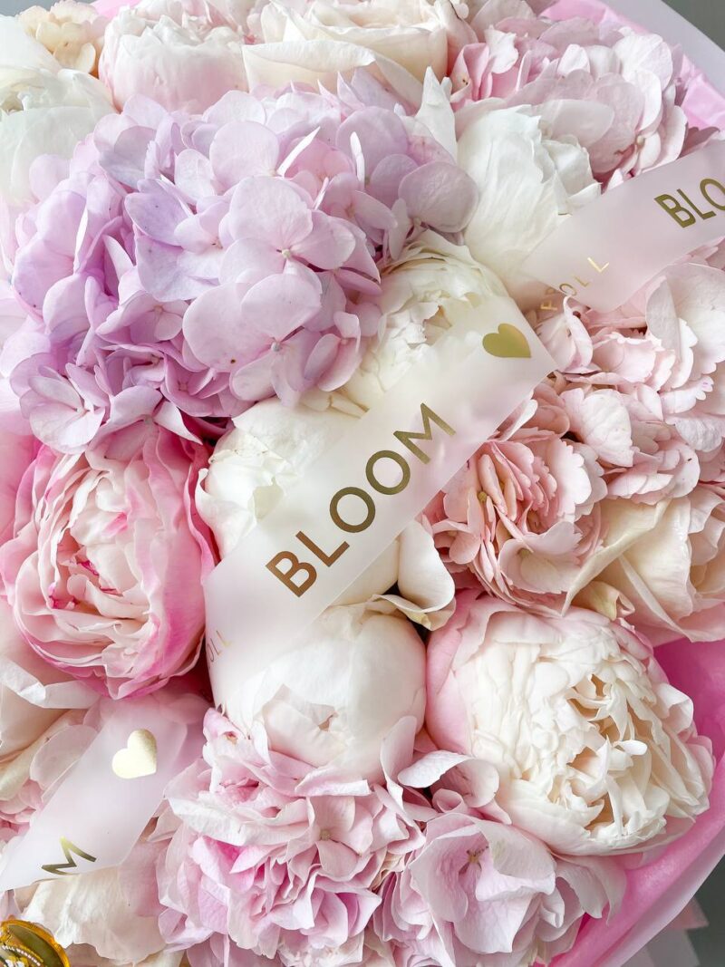 Melody of love 2
