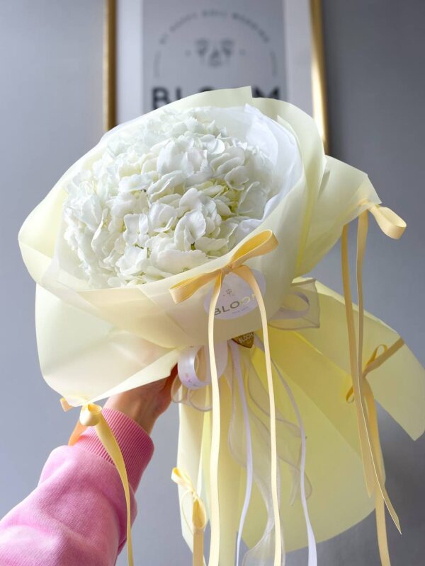 Sunny tenderness 1