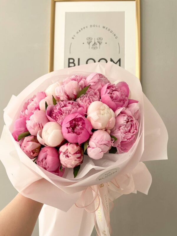 Peony dream 1