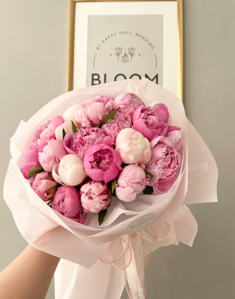 Peony dream 1