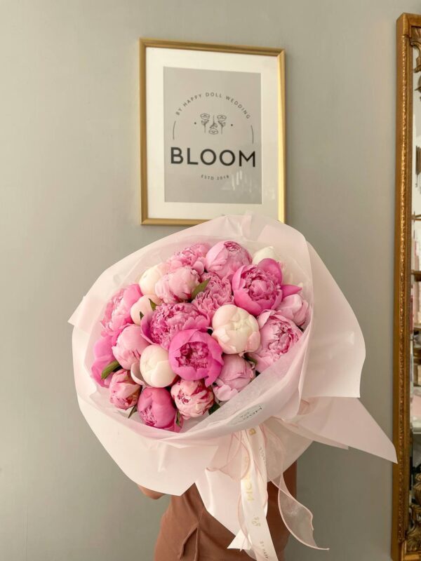 Peony dream