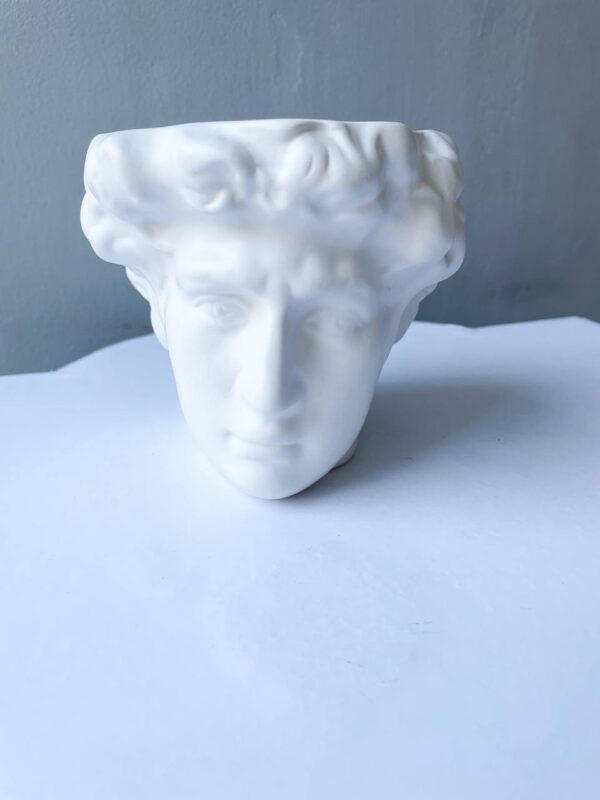 Біла керамічна ваза у формі класичної скульптурної голови на світлому фоні