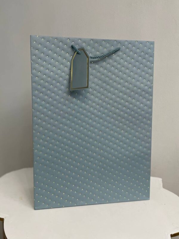 Блакитний паперовий подарунковий пакет з тисненням у вигляді точок та подарунковою біркою