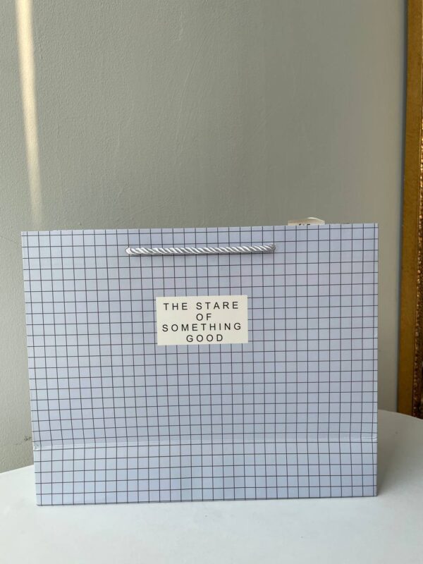 Світлий паперовий подарунковий пакет у клітинку з написом The Start of Something Good