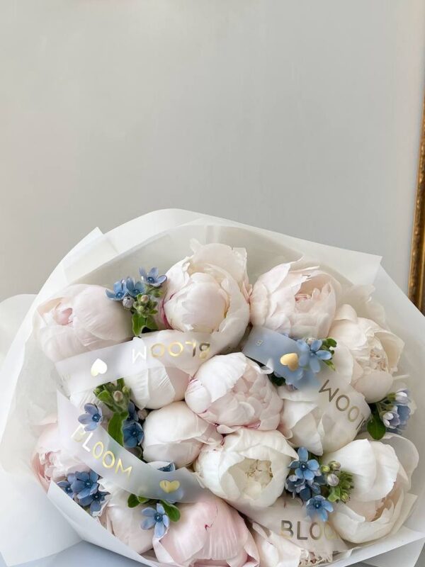 Blue sky peony 1 blue sky peony 1