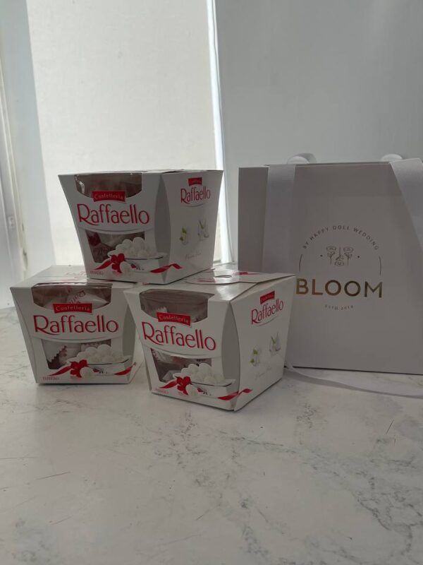 raffaello 14 sht 1